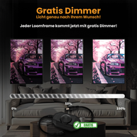 LOOMFRAME - LED LEUCHTBILDER RAHMEN