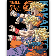 FATHER AND SON - Deskyou Platina