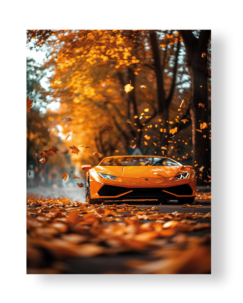 CAR#12 - Deskyou Platina