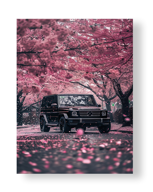 CAR#15 - Deskyou Platina