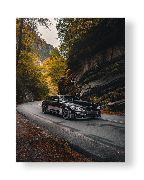 CAR#17 - Deskyou Platina