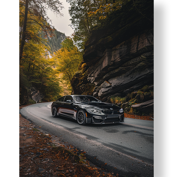 CAR#17 - Deskyou Platina