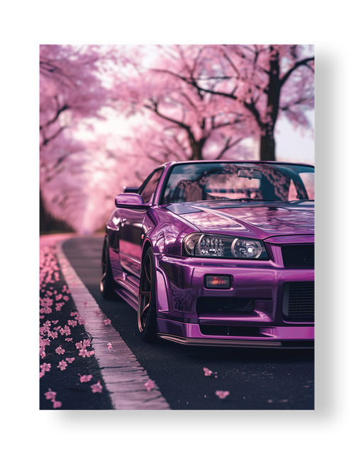 CAR#24 - Deskyou Platina