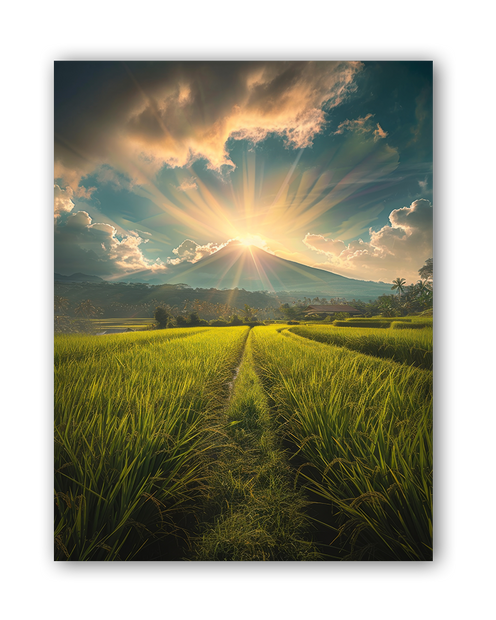 NATUR#3 - Deskyou Platina